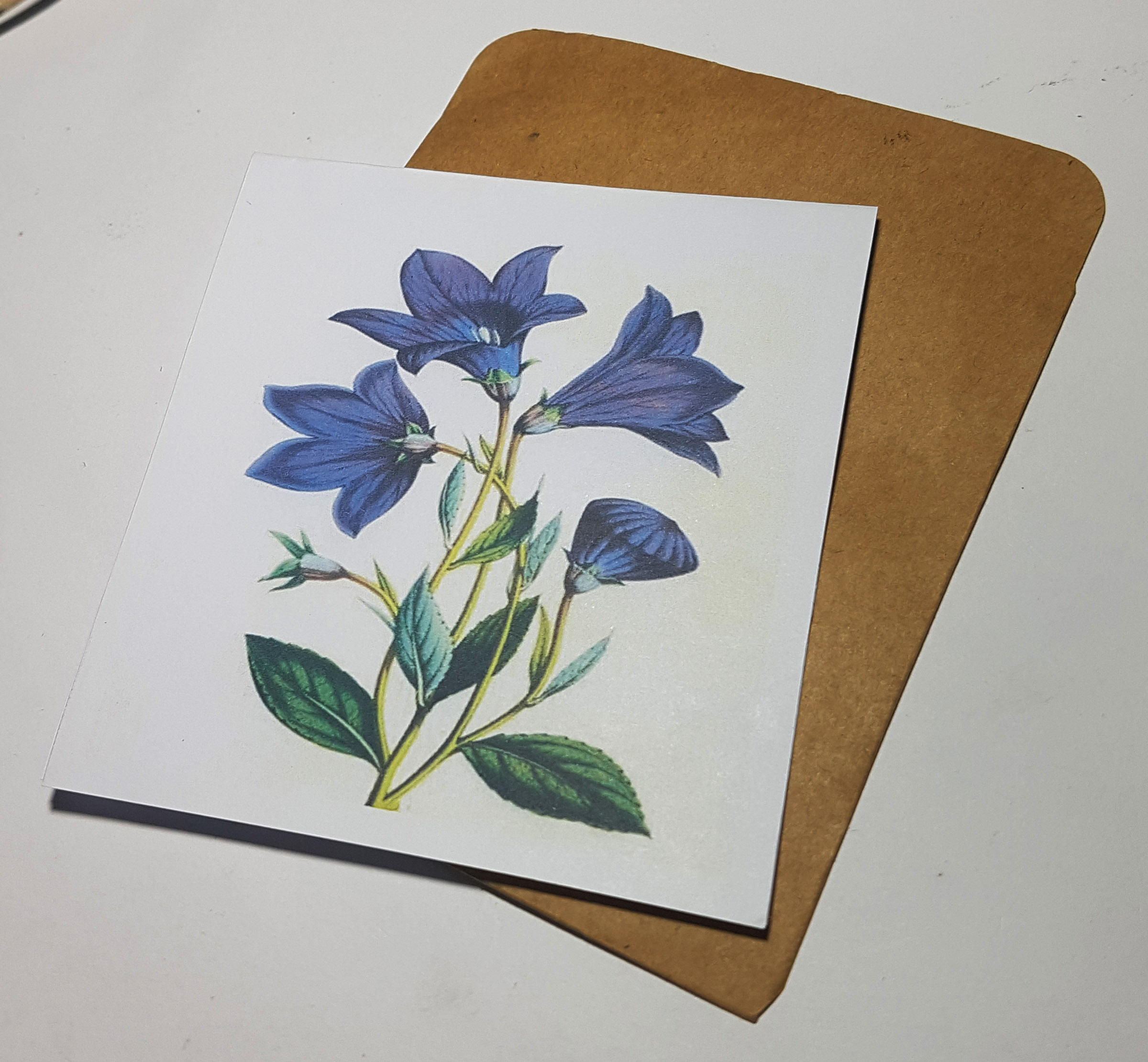 Thiệp phong cách Vintage card quà cám ơn ,chúc mừng sinh nhật và giử tặng người thân yêu.