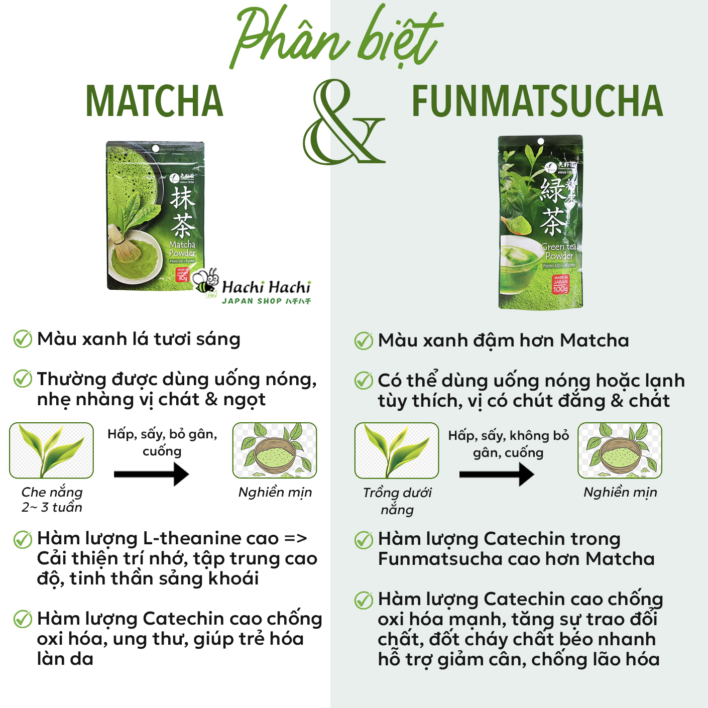 Bột Trà Xanh Yanoen Matcha Uji 30g