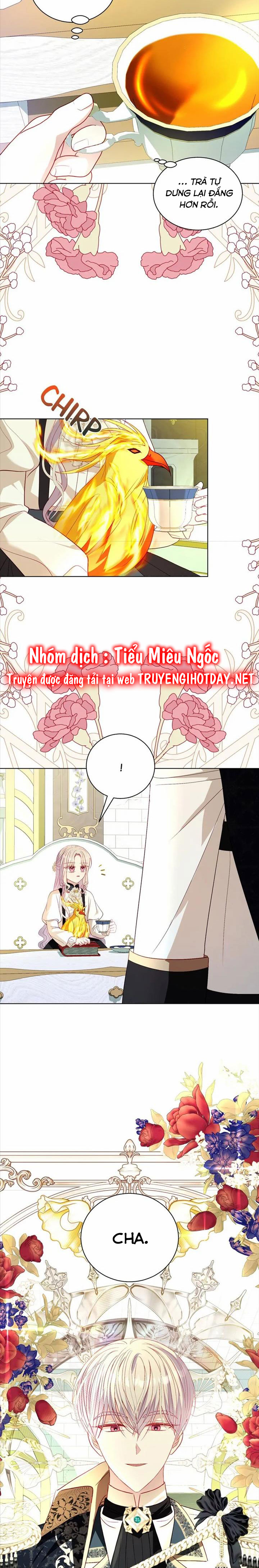 papa của tôi đã xuất hiện chapter 51 15