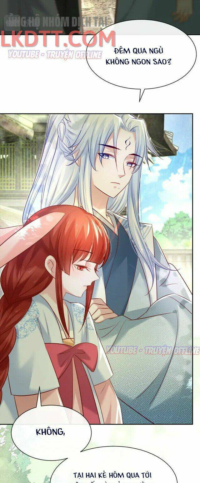 hắc hóa nam chính trực tuyến nuôi thỏ chapter 27 17