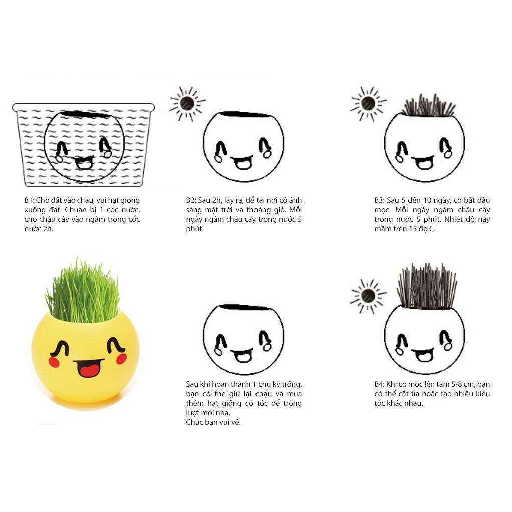 Chậu cây cảnh mini hình mặt cười đáng yêu, Emojji đẹp, chậu cây hình em bé baby xinh, tặng kèm đất và hạt giống cỏ tóc