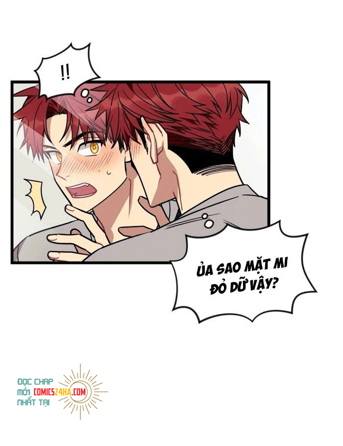 điều ước của cậu là mệnh lệnh của tớ chapter 6 31