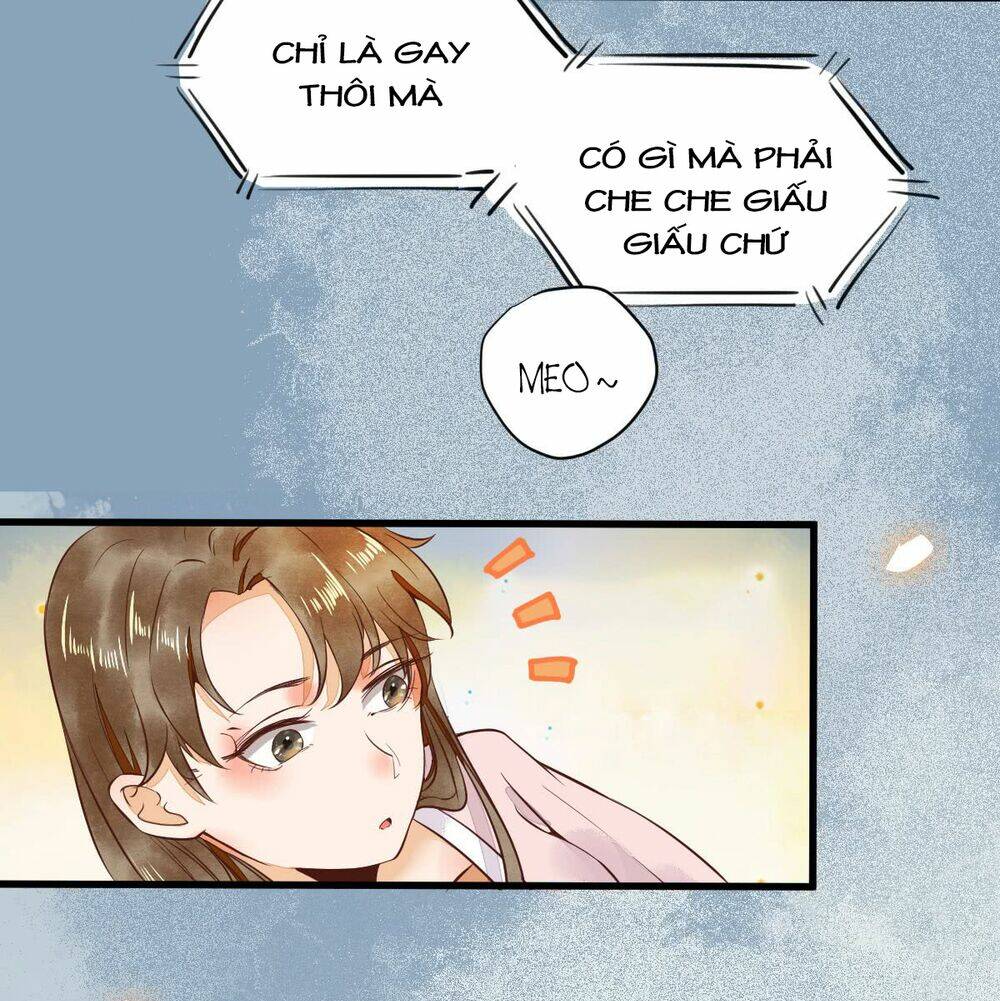 sát thủ vương phi không dễ chọc chapter 5.5 6