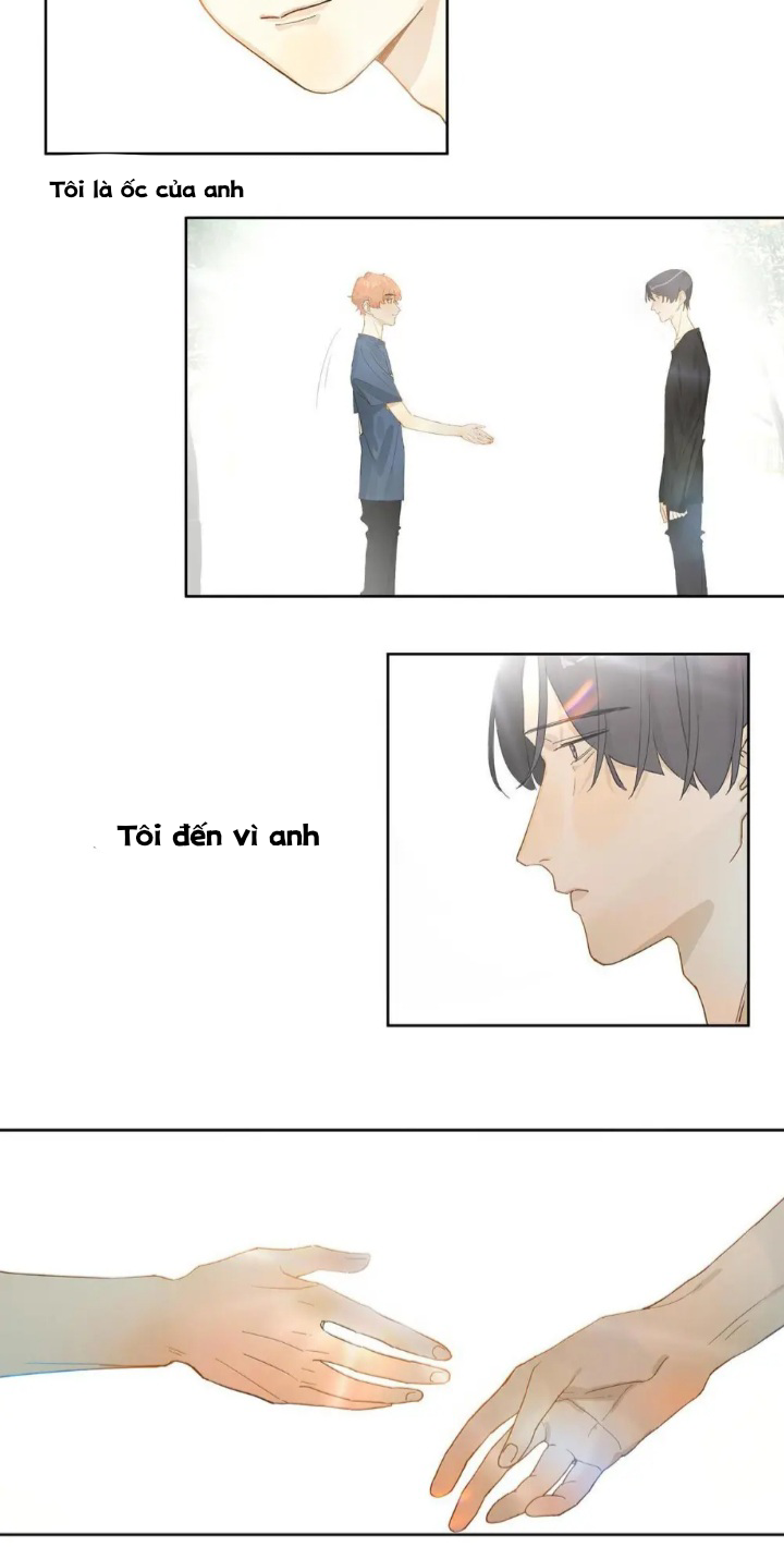 mr.snail chapter 1 37