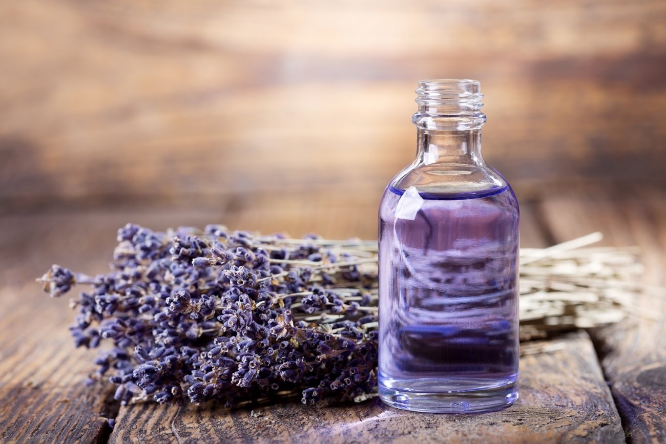 Tinh Dầu Lavender Nguyên Chất Nhập Khẩu 50ML (Oải Hương), Tinh Dầu Xông Phòng Oải Hương Giúp Thư giản, Khử Trùng Và Bảo Vệ Sức Khỏe, Sử Dụng Với Máy Xông Tinh Dầu Cho Gia Đình Và Văn Phòng