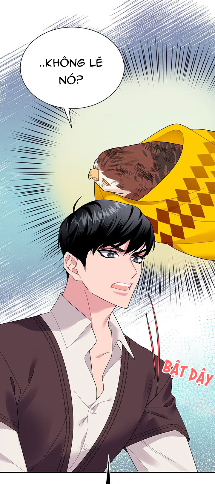 công chúa của loài chim chapter 18 18