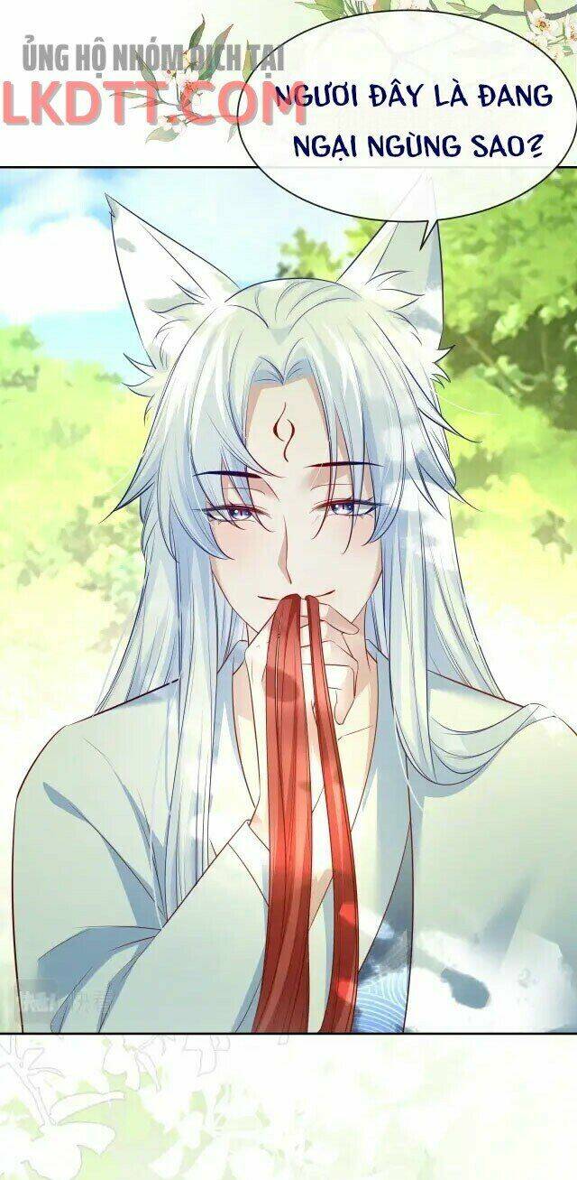 hắc hóa nam chính trực tuyến nuôi thỏ chapter 25 19