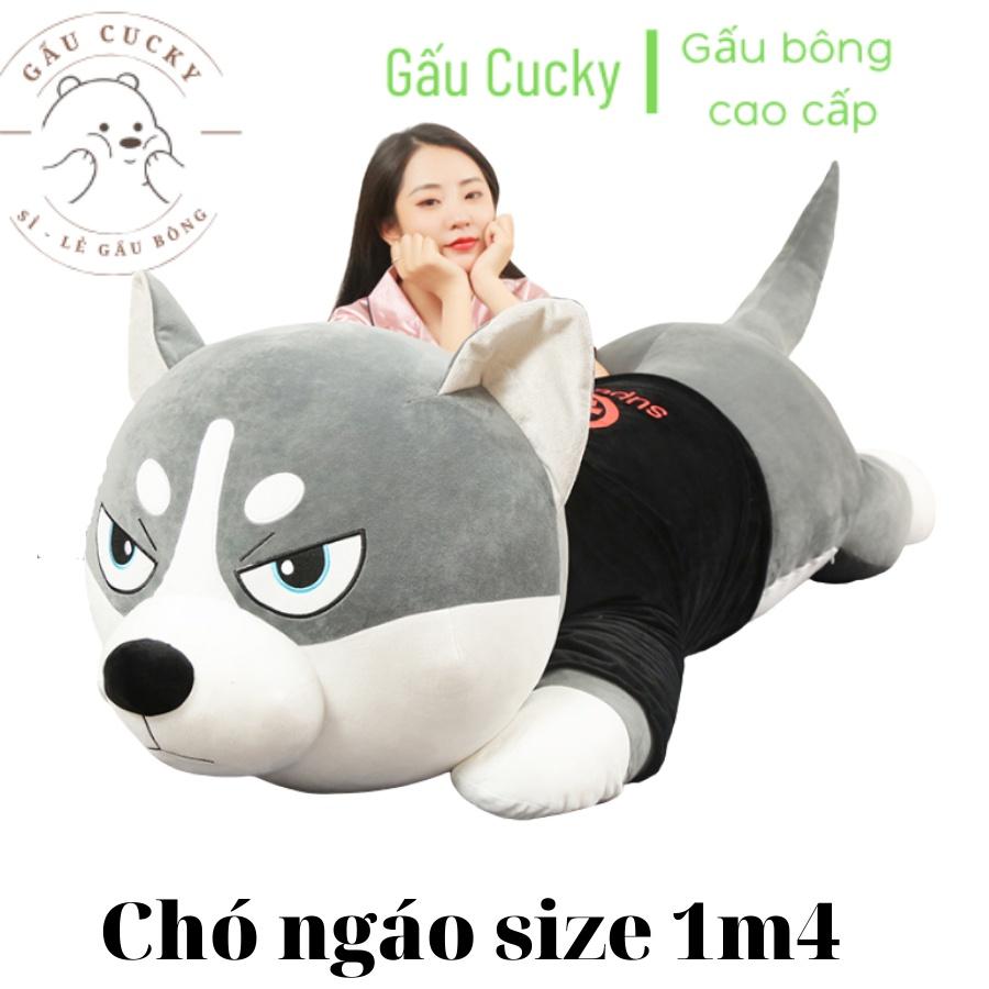 Gấu bông Chó husky, chó ngáo size 1M4 Siêu to khổng lồ.