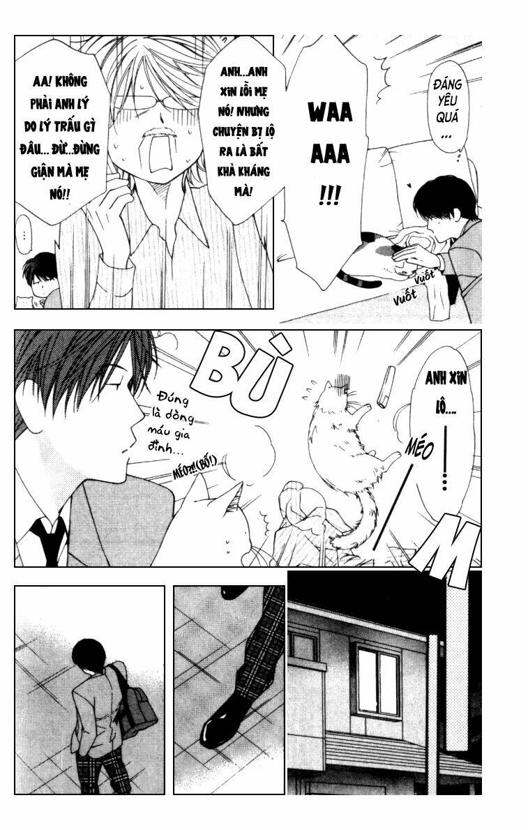neko neko honey chapter 5 15