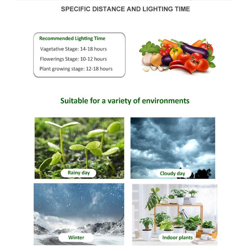 100W Ánh sáng phát triển cây phát triển nhanh Ánh sáng phát triển nhanh đầy đủ LED Quang phổ phát triển Ánh sáng 220V