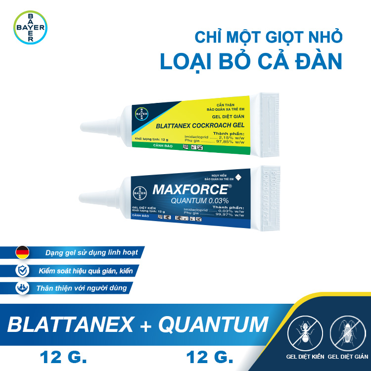 [Combo 2 sản phẩm] Gel Diệt Kiến Maxforce Quantum + Gel Diệt Gián Blattanex Chính Hãng