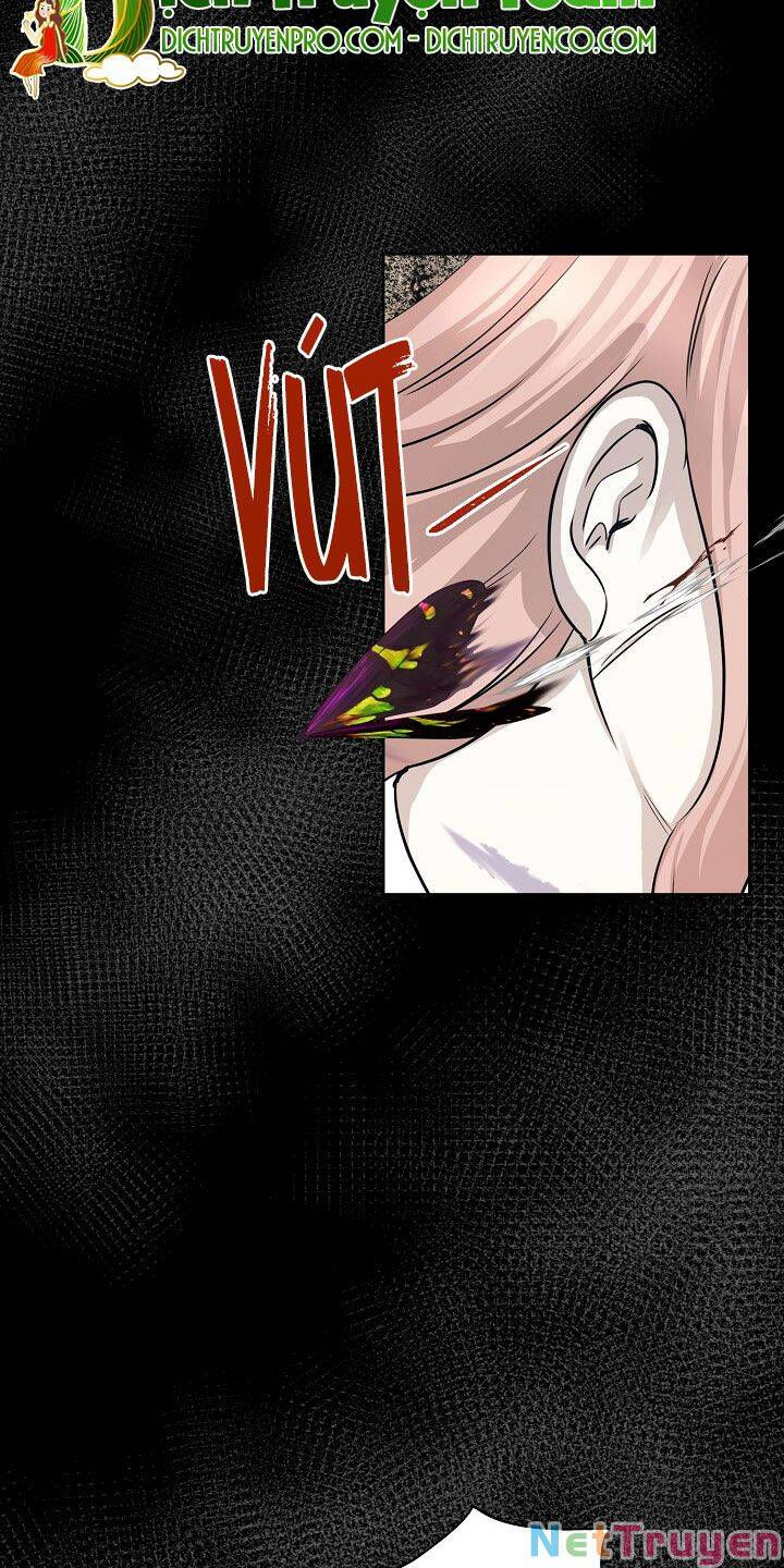 cuộc sống kỳ thú chapter 84 74