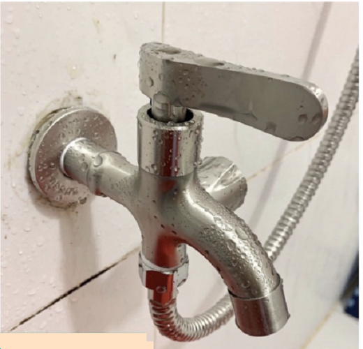 Vòi Nước Củ Sen Lạnh Nhà Tắm INOX 304 Thân Đúc Nguyên Khối