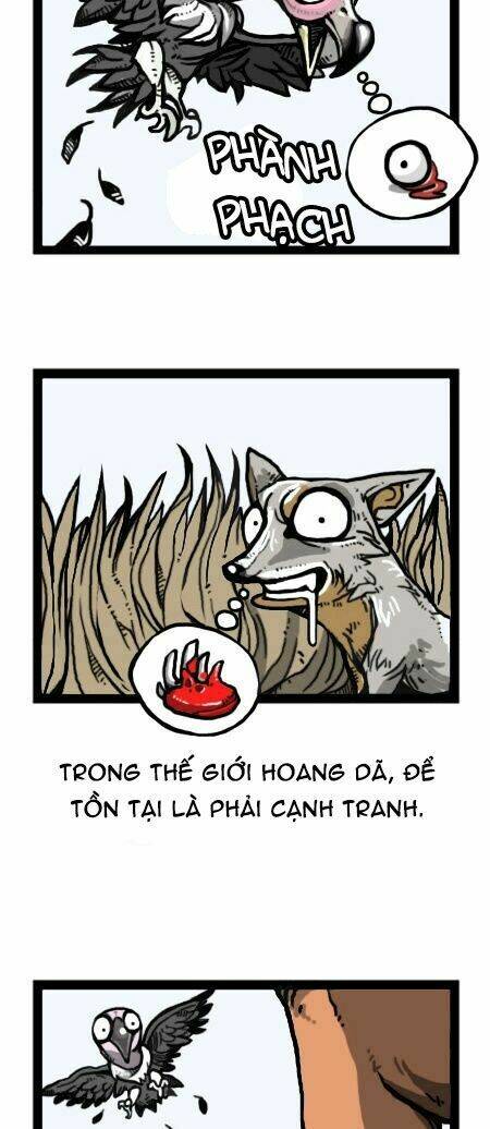 earth, human, and animal chapter 27 5