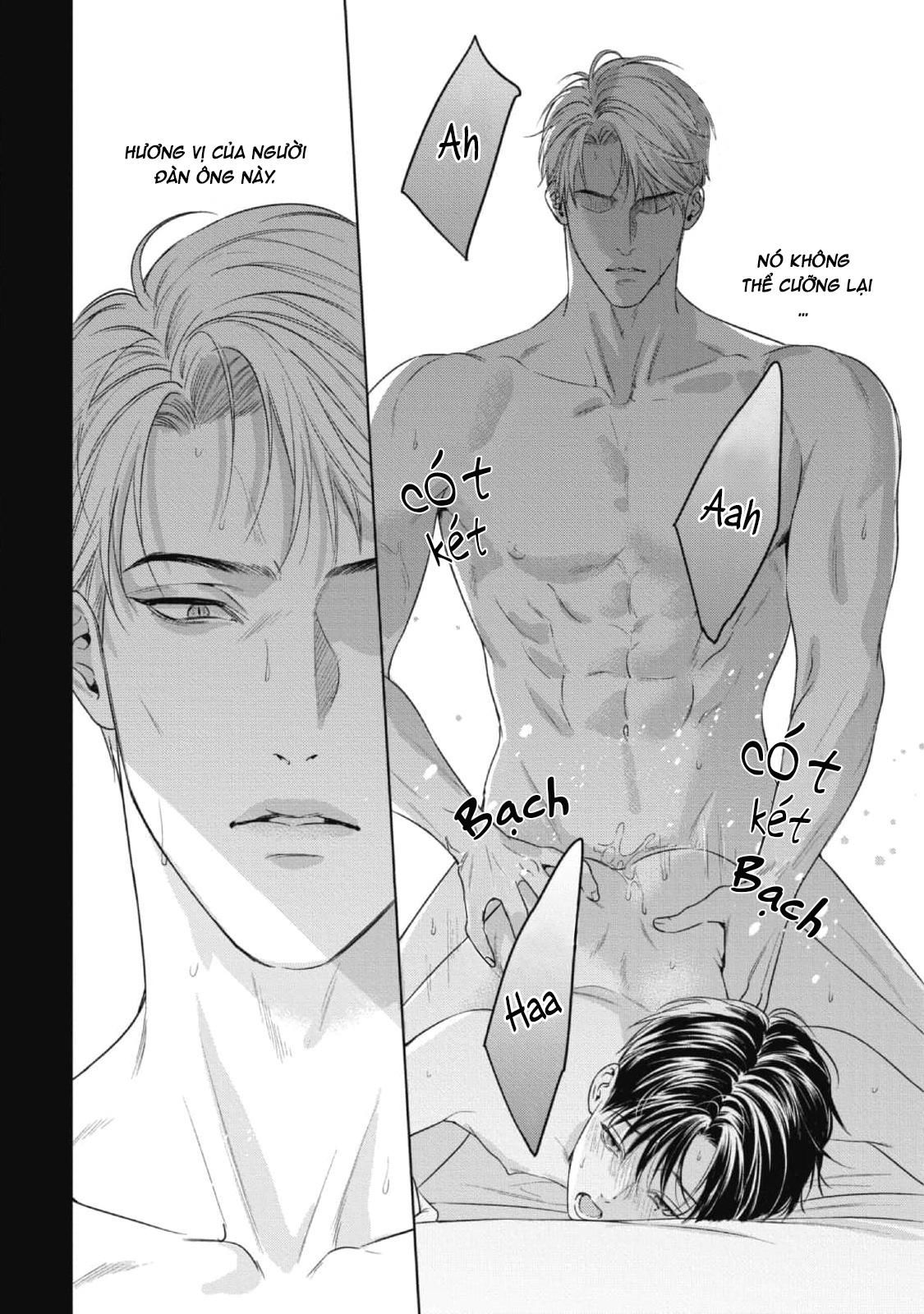 cô dâu của alpha chapter 19 2