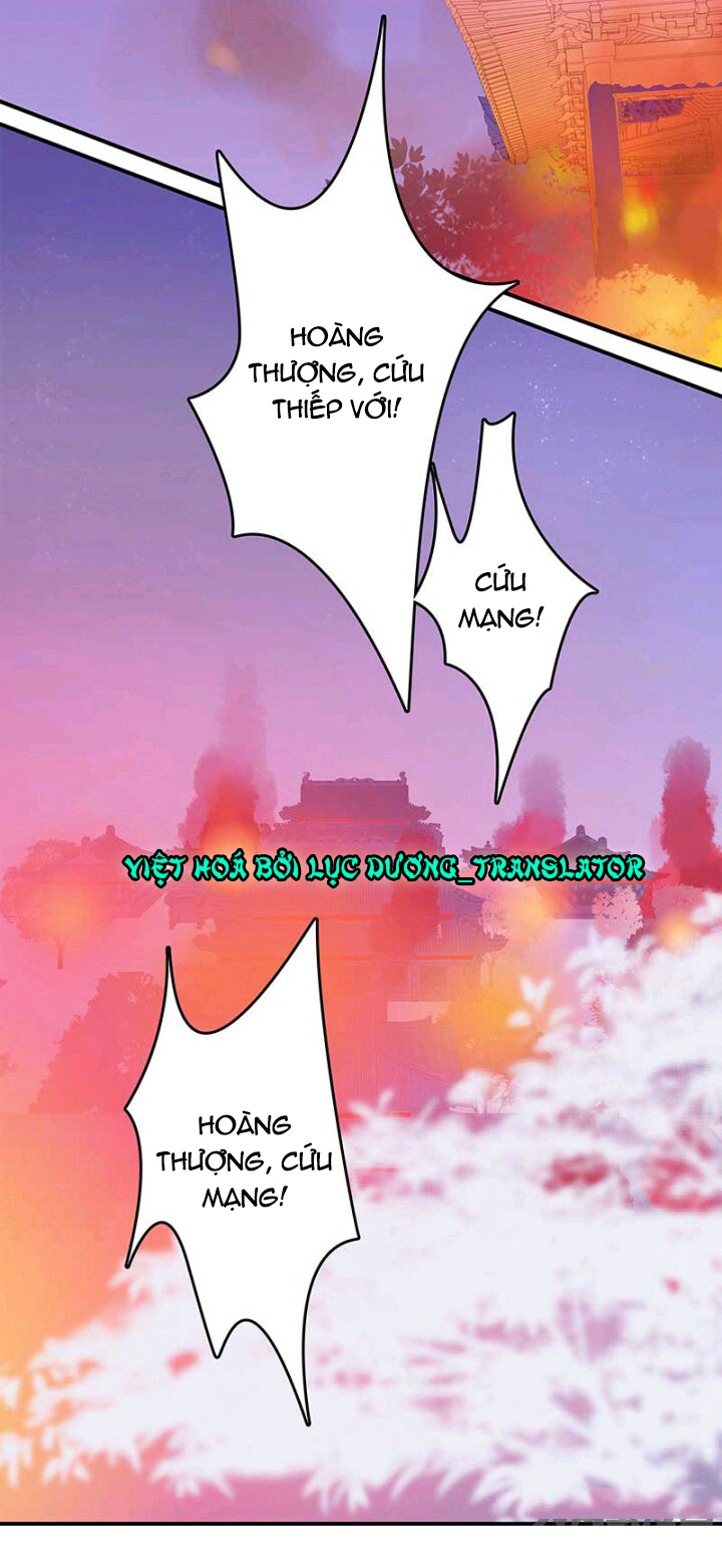 mấy bà vợ của trẫm đều chết hết rồi chapter 2 11