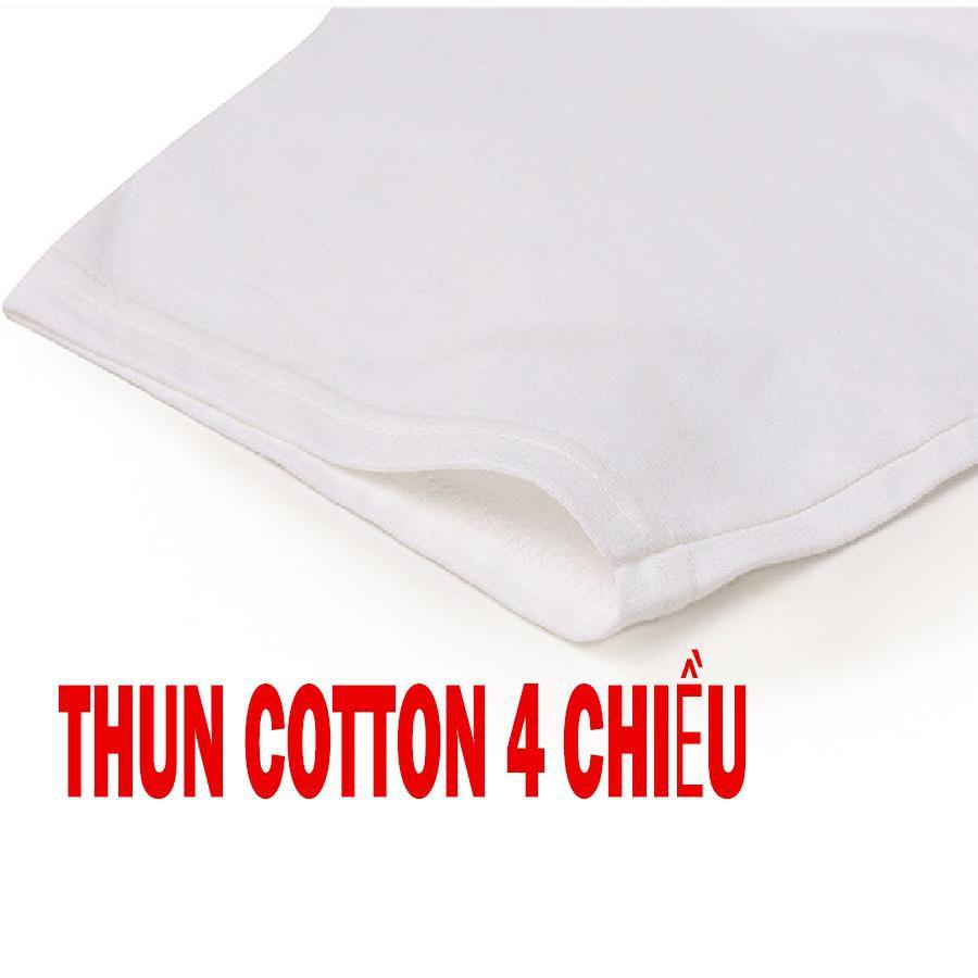 Áo thun nam in hình hoa văn chất 300na