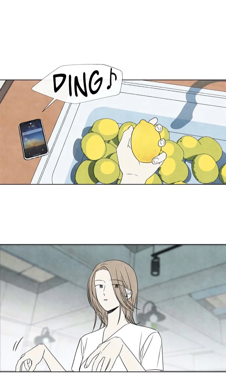 summer solstice point chapter 11 26