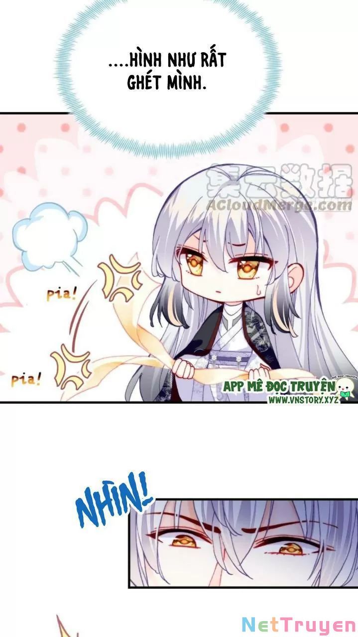 lại bị bệnh chiều chuộng quấn lấy chapter 32 8