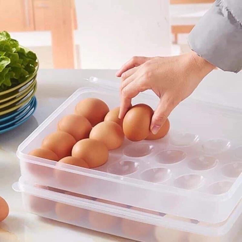Khay Nhựa Đựng Trứng 24 Quả Cao Cấp
