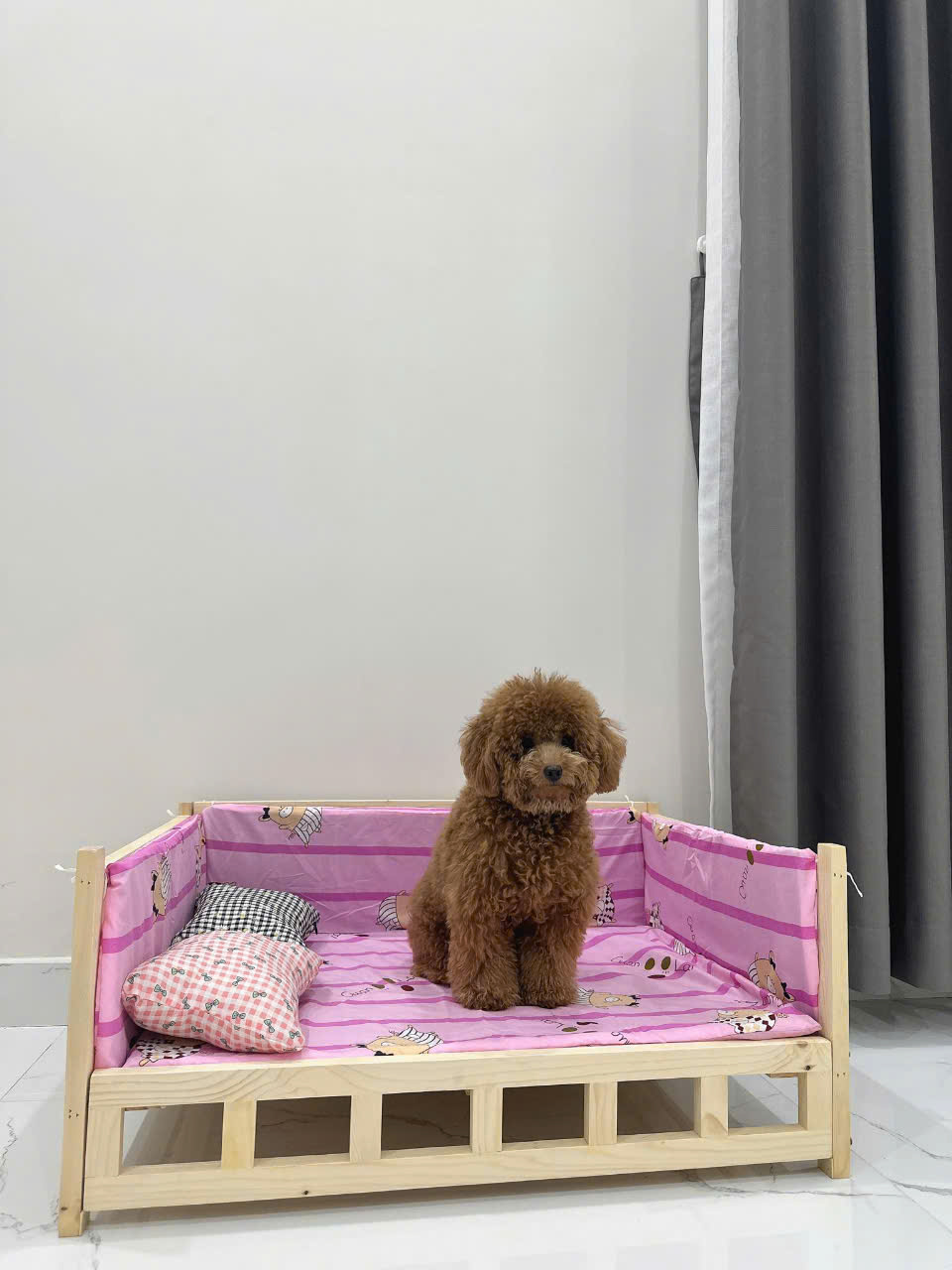 Giường ngủ cho thú cưng