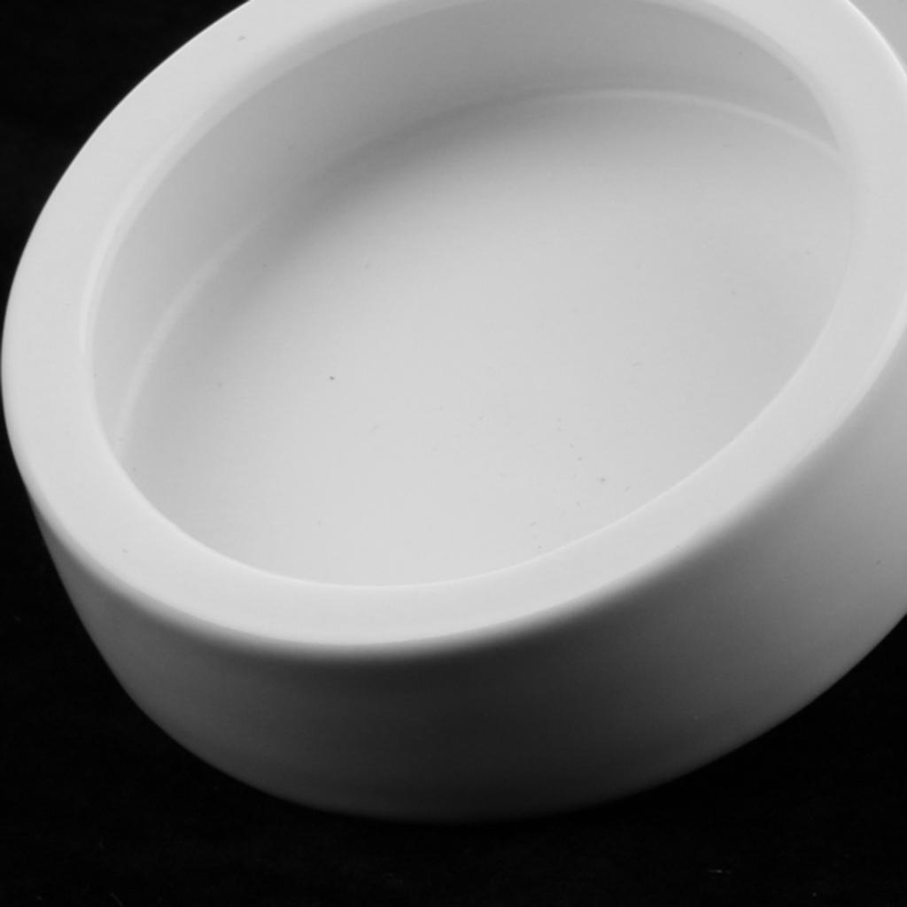 4Pcs Ceramic Reptile Feeding Worm Dish Food Water Bowl for Reptile