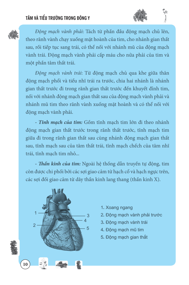 Sách Tâm Và Tiểu Trường Trong Đông Y (Bìa mềm)