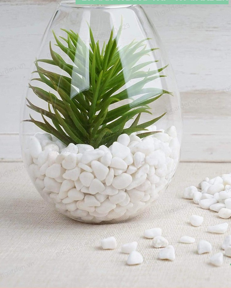 Sỏi trắng trang trí tiểu cảnh, sân vườn, thủy sinh