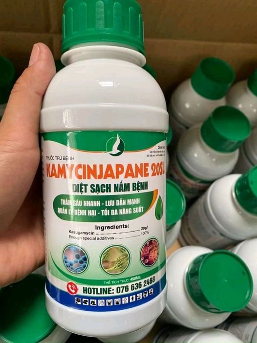 KAMYCIN JAPANE - THUỐC TRỊ NẤM KHUẨN
