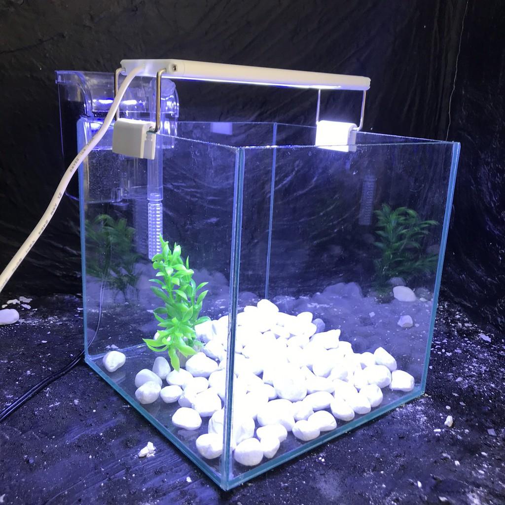 Bể cá mini CUBIC 20cm COMBO Hồ+ Lọc+ Đèn Tặng 6 món phụ kiện trang trí