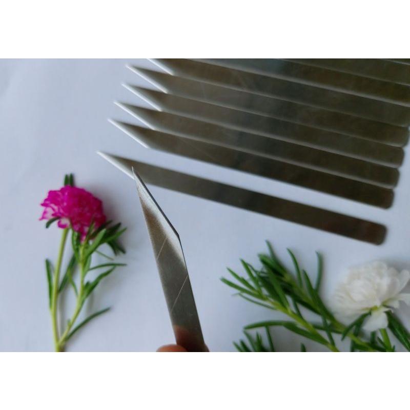 Dao Xẽ Tôm, Dao Xẽ Lưng Tôm + Rút Tim.