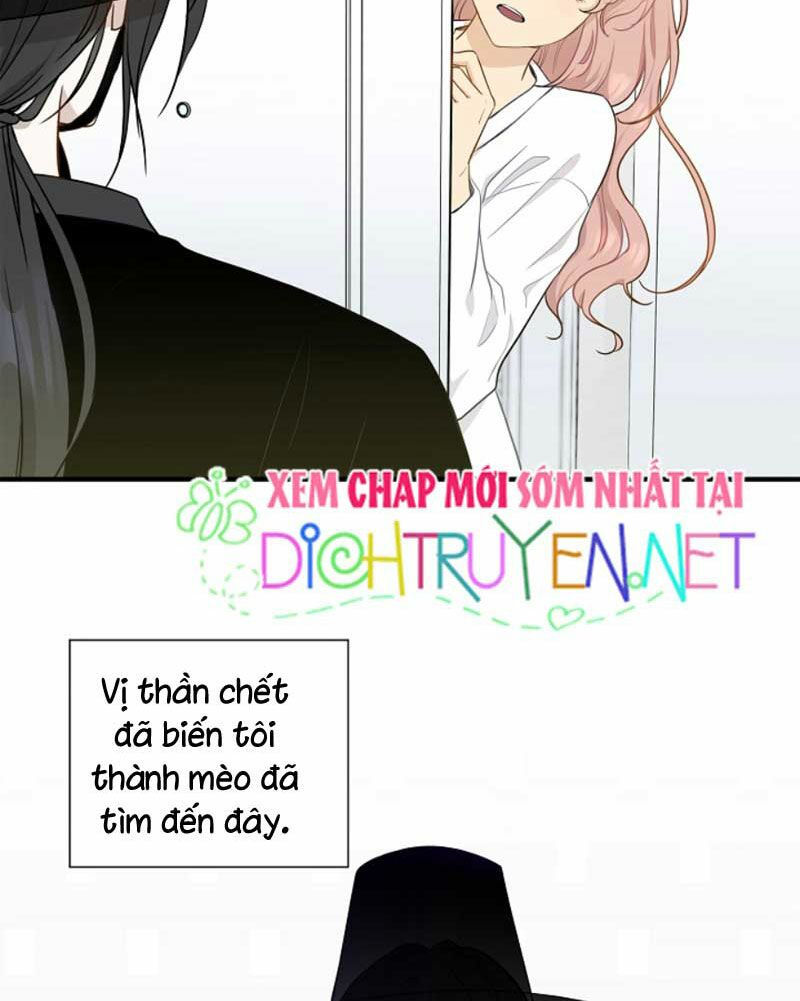 cuộc sống kỳ thú chapter 5 2