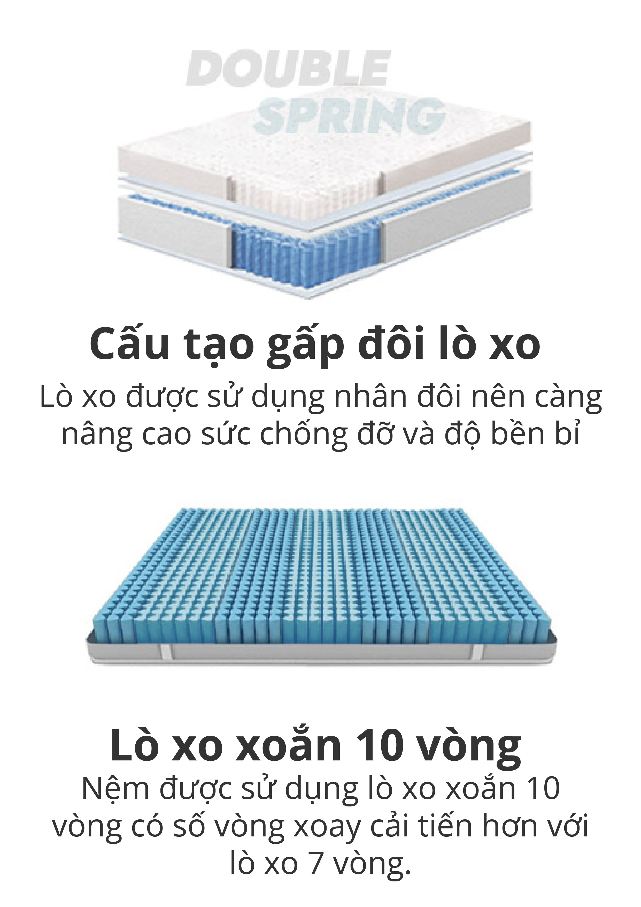 NỆM LÒ XO BEDIS BELUGA