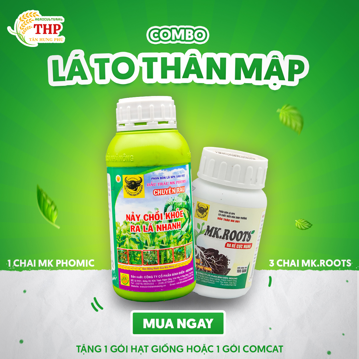[MUA 1 TẶNG 1] COMBO LÁ TO THÂN MẬP | CHUYÊN RAU ĂN LÁ | COMBO CHĂM SÓC CÂY
