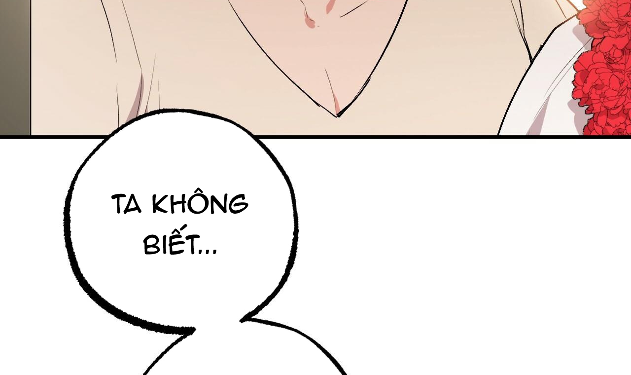 đàn thỏ của habibi chapter 45 232