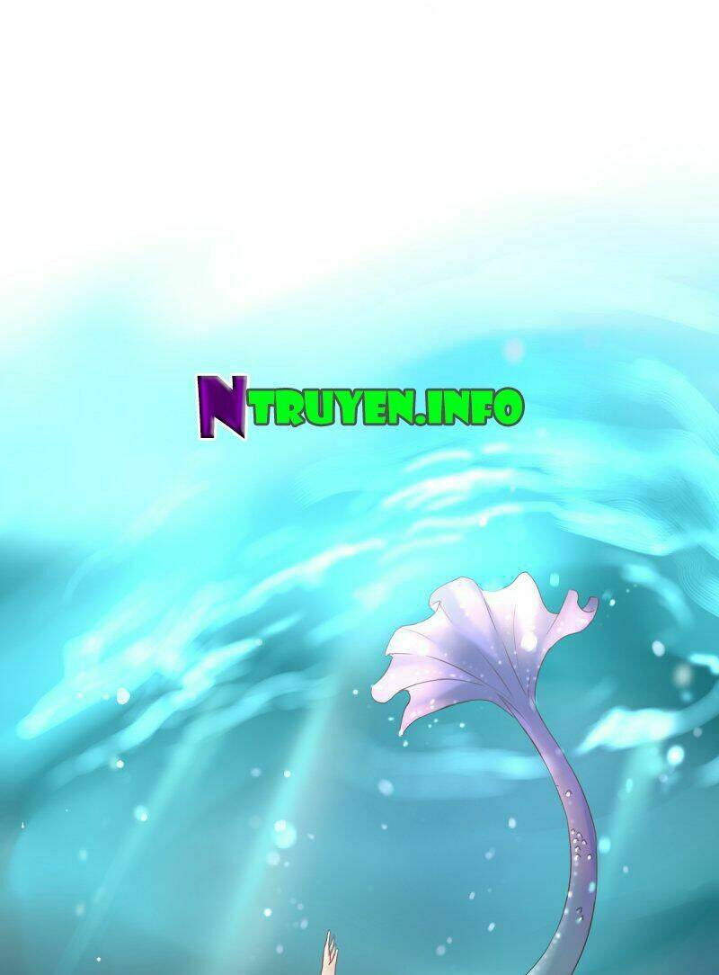 nước mắt người cá chapter 1 29