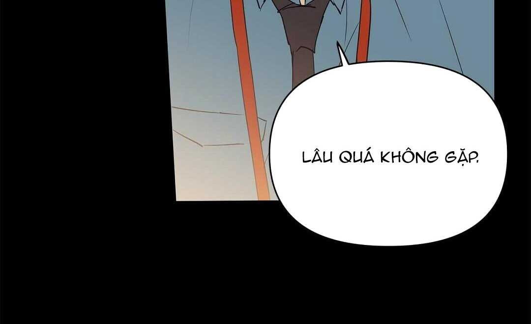 guide cấp b chapter 40 161