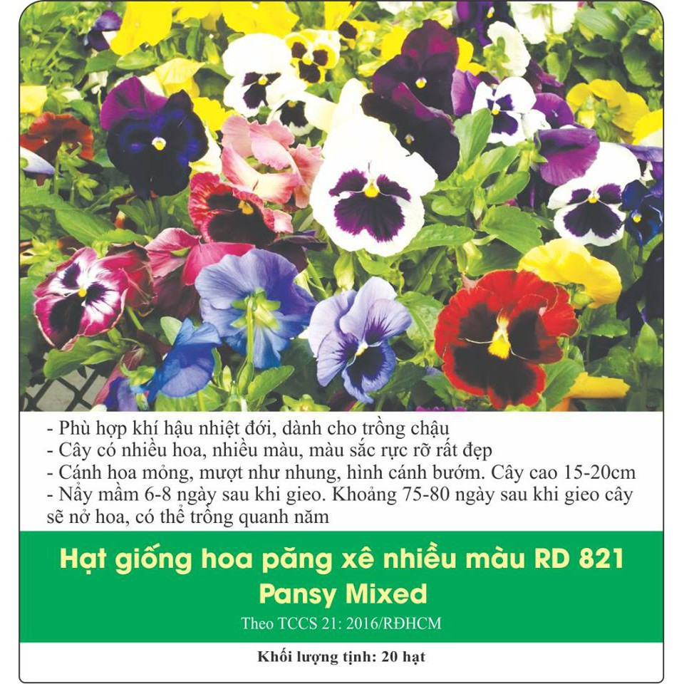 Hạt giống Hoa păng xê nhiều màu RD 821