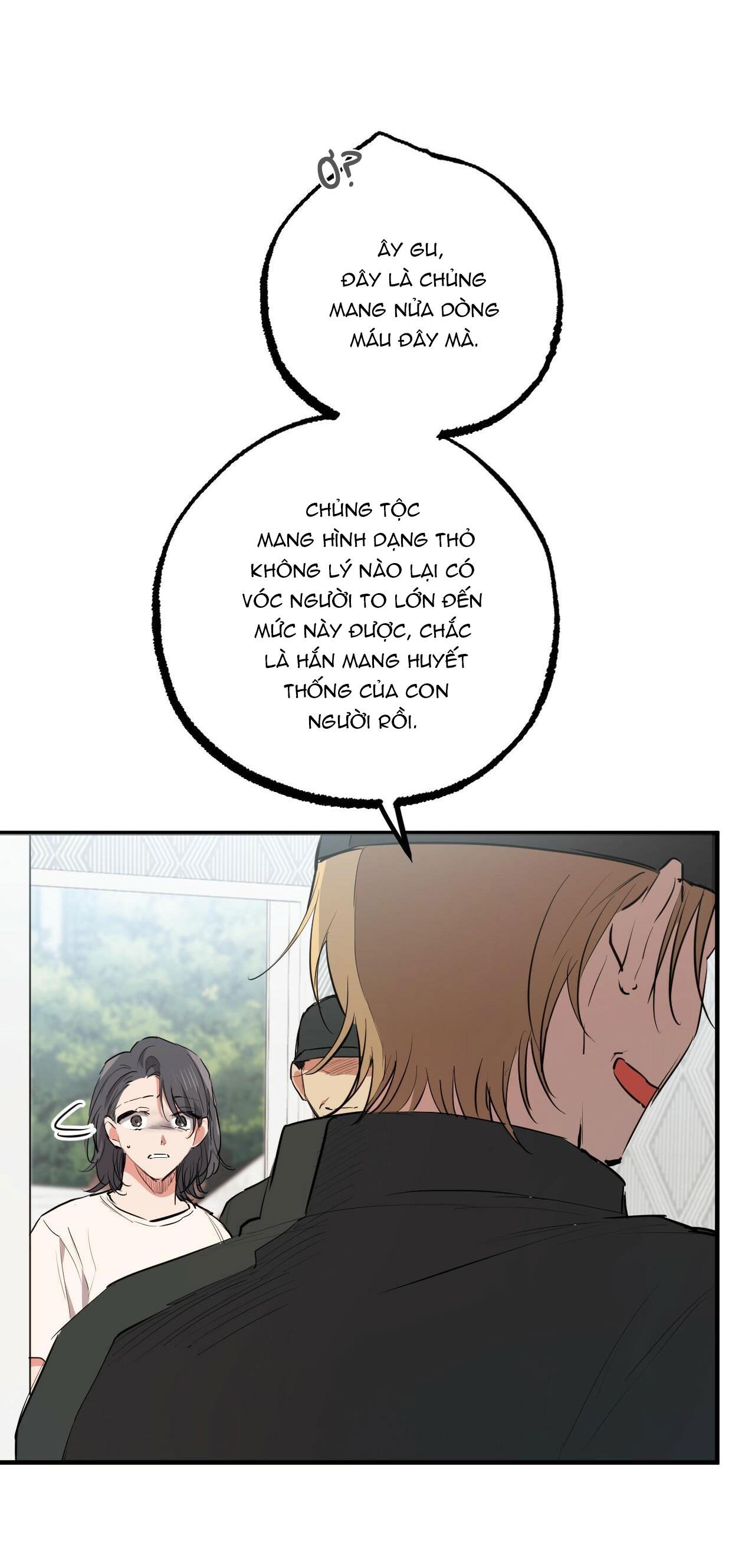 những chú thỏ của hapypy chapter 36 34