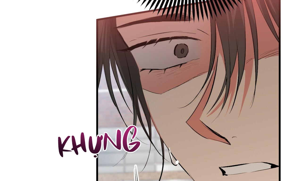 đàn thỏ của habibi chapter 50 186