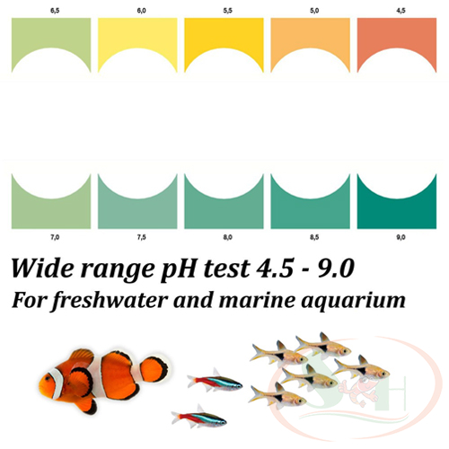 Bộ Sera pH Test kiểm tra pH đo độ kiềm axit nước ao hồ bể cá tép thủy sinh