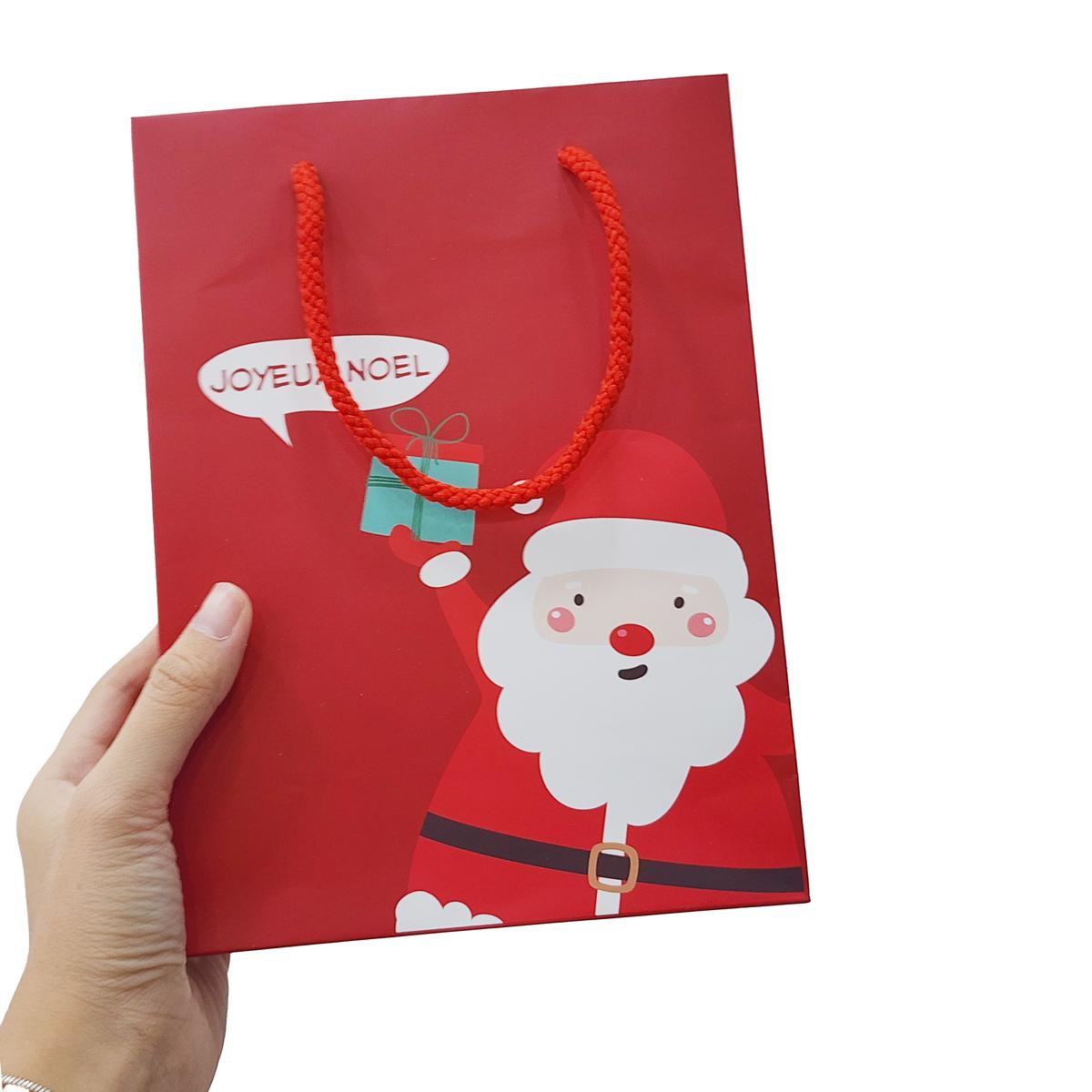 Túi Đựng Quà Little Christmas - 22 x 16 x 8 cm - The Sun 03