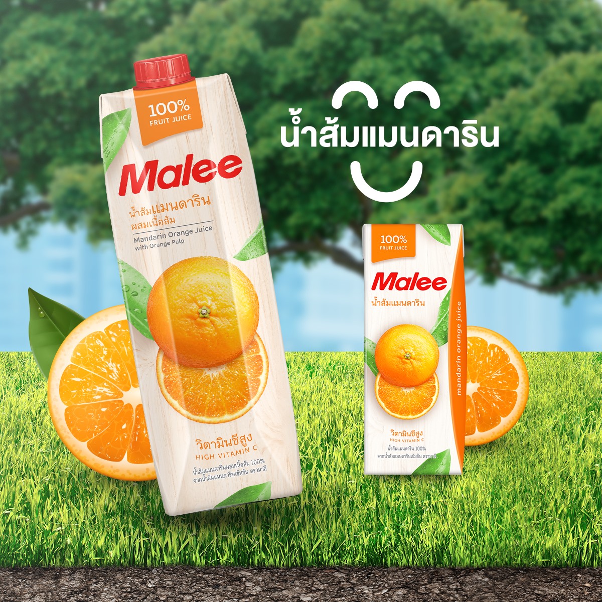 COMBO 3 Hộp Nước Ép Quýt Malee 200ml