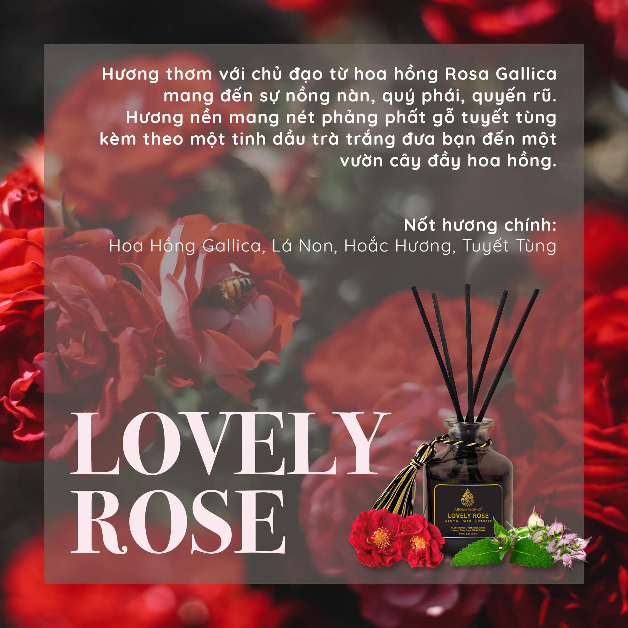 Tinh Dầu Tán Hương Thơm Phòng Cao Cấp Que Mây Aroma Works Reed Diffuser - Lovely Rose
