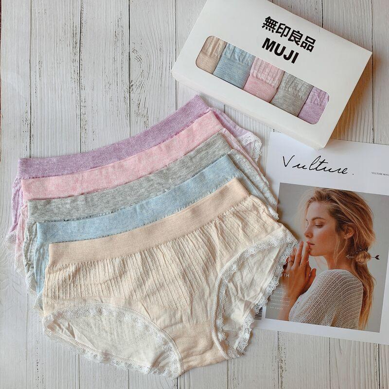 Chuyên sỉ lẻ hộp 5 Quần cotton 365 Dệt Kim kháng khuân Full Hộp Trắng Chính hãng