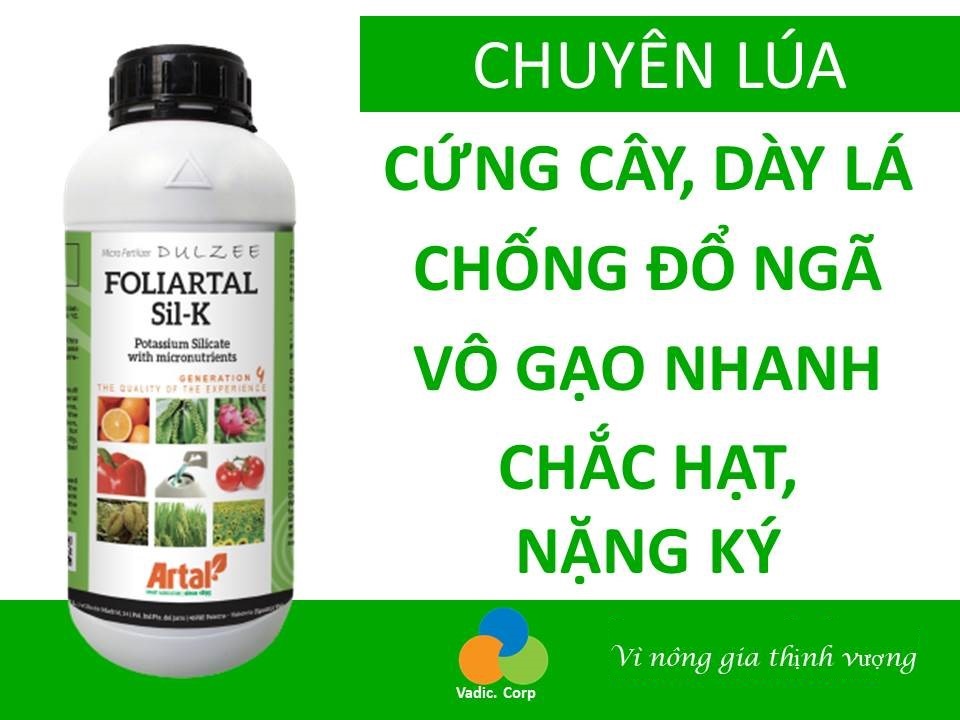 Phân bón 2 trong 1 Foliartal Sil-k chuyên chắc hạt, nặng ký, chỉnh trái tròn trái cây, xanh màu