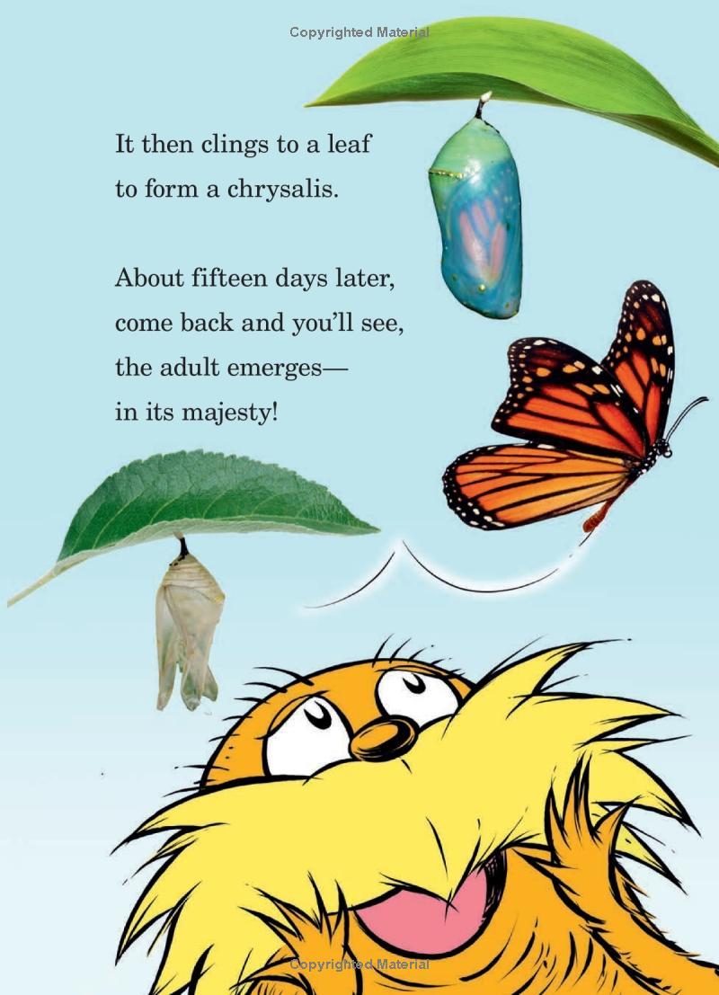 Hug A Bug: How YOU Can Help Protect Insects (Dr. Seuss's The Lorax Books)