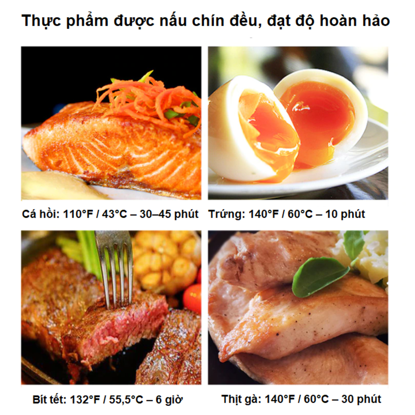 Máy nấu chậm Sous vide BioloMix SV-8008 Công suất 1200W Điều khiển màn hình LED - HÀNG NHẬP KHẨU