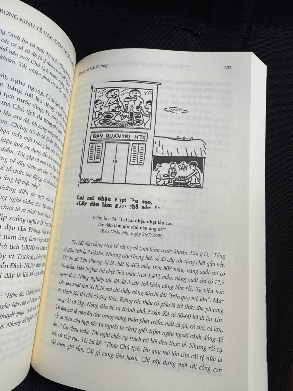 "PHÁ RÀO" TRONG KINH TẾ VÀO ĐÊM TRƯỚC ĐỔI MỚI – Đặng Phong – Omega Plus