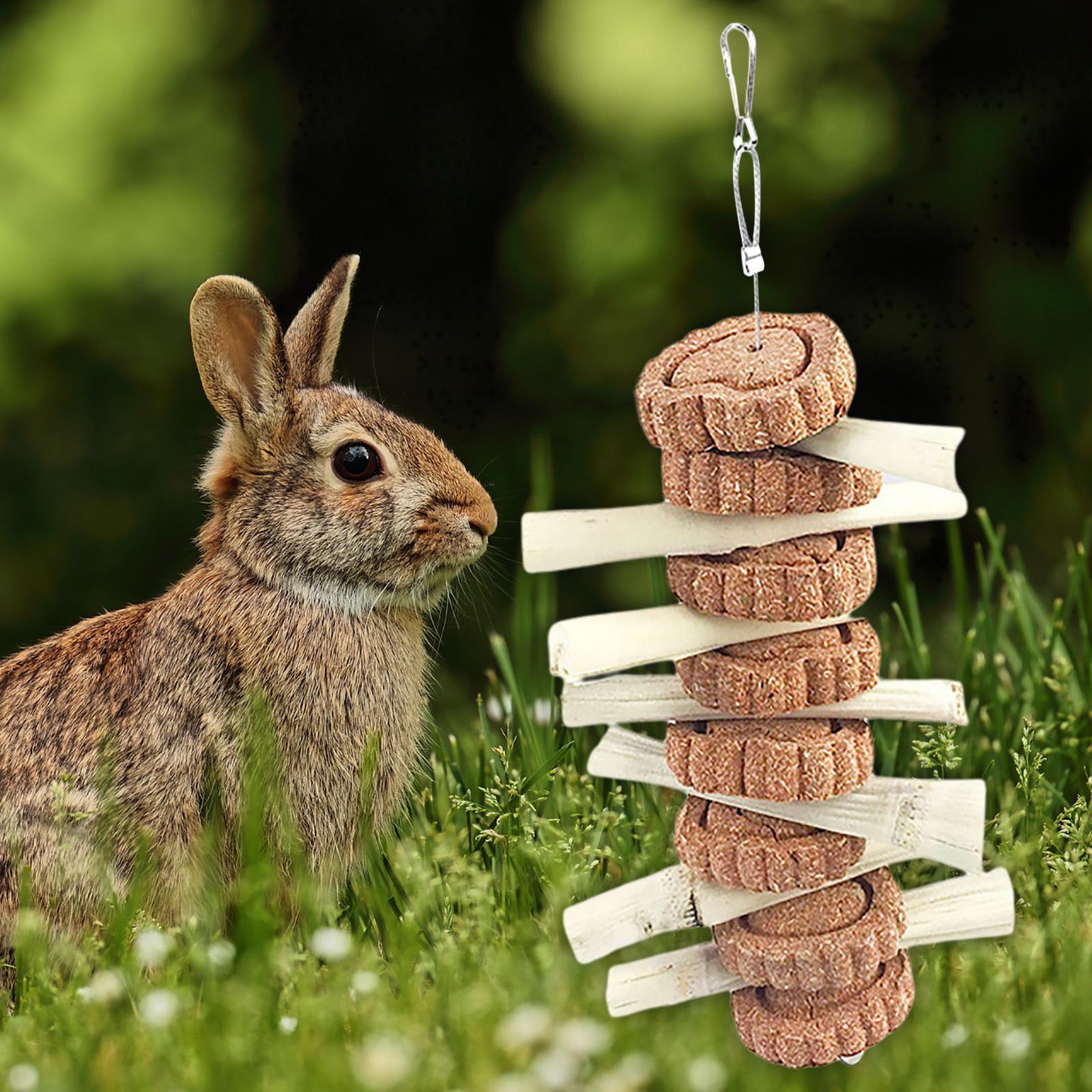 Bunny Chew Toys, Natural Wood Sticks Guinea Pigs Hamsters Toys Cage Accessories for Small Pets Chewing and Playing & Teething Teeth Care